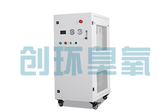 周口石斑鱼养殖水质调控完整指南:臭氧发生器配置与操作步骤
