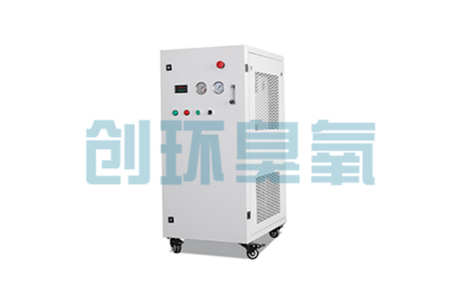 周口比传统换水更高效?臭氧发生器在石斑鱼养殖中的水质净化原理解析